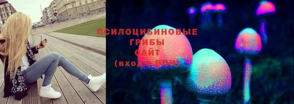 герыч Новозыбков