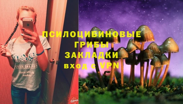 ALPHA-PVP Усинск