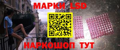 дживик Гай