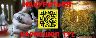 дживик Гай