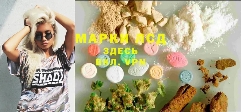 darknet клад  KRAKEN ссылка  Шахты  закладки  LSD-25 экстази ecstasy 