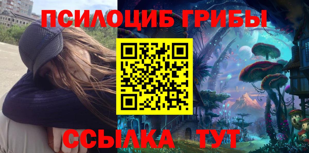 Галлюциногенные грибы Cubensis Шахты