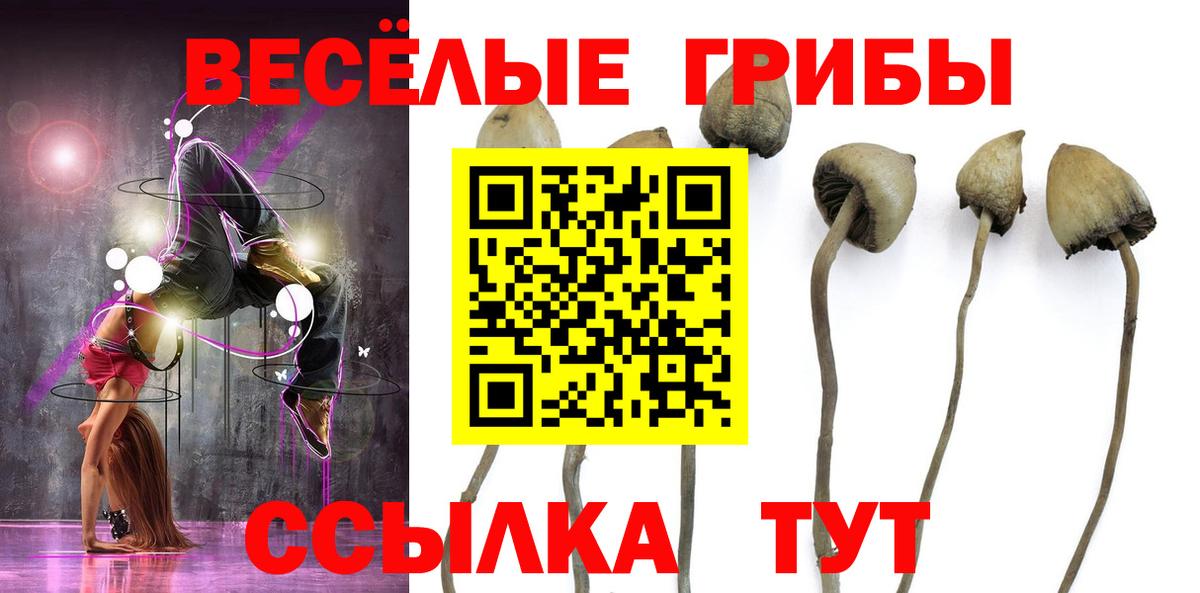 Cocaine  Вход с VPN  Бошки Шишки  Гашиш  Мефедрон кристаллы  Шахты  Каннабис  А ПВП СОЛЬ  