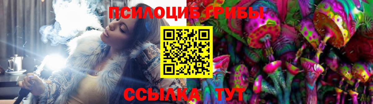 Шахты  Псилоцибиновые грибы GOLDEN TEACHER  Псилоцибиновые грибы прущие грибы  Вход с VPN 
